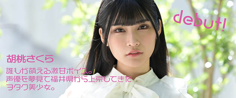 胡桃さくら(胡桃樱，Kurumi-Sakura)品番作品MOGI-013介绍及预览-六集图