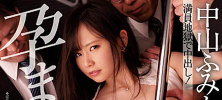 中山ふみか(中山文香，Nakayama-Fumika)品番作品MIDV-090介绍及预览-六集图