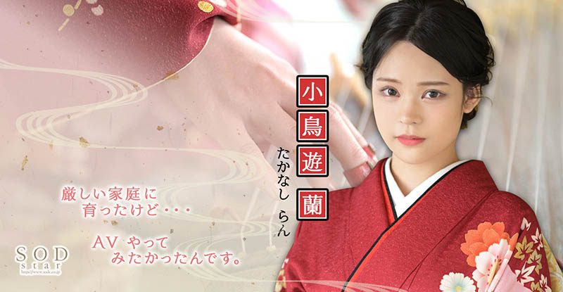 小鸟游兰(Takanashi-Ran)品番作品STARS-600介绍及预览-六集图