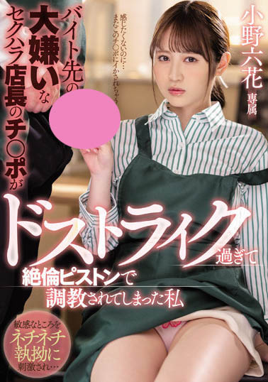 小野六花品番作品MIDV-175介绍及预览-六集图