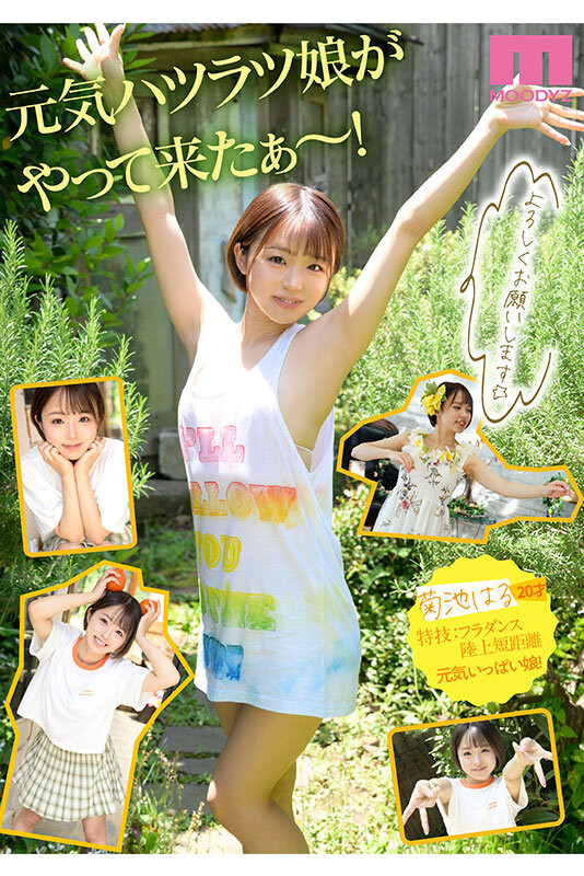 菊池はる(菊池春，Kikuchi-Haru)出道作品MIDV-541介绍及封面预览