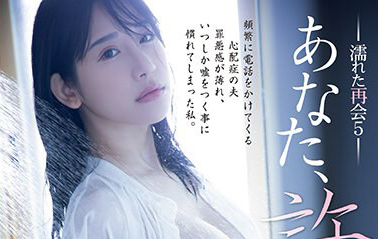 西野絵美（西野绘美）最新品番作品ADN-521介绍及预览-六集图