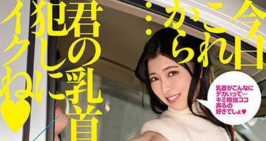 小只马萝莉《豊中艾莉丝》精选作品推荐介绍及封面预览