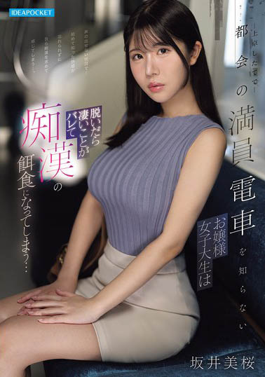H CUP千金大小姐「坂井美樱」精选作品推荐介绍及封面预览